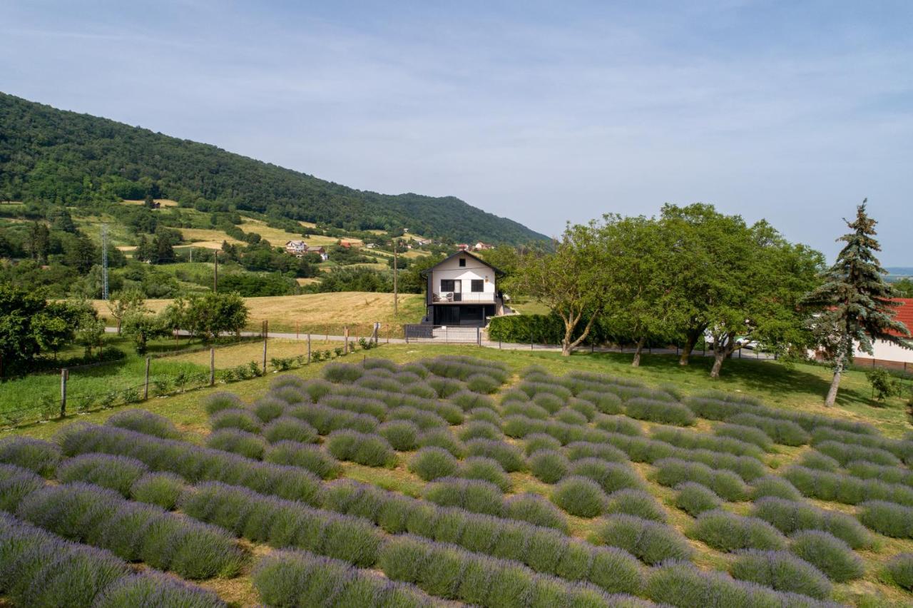 Vacation Home - Nest Kalnik Ngoại thất bức ảnh