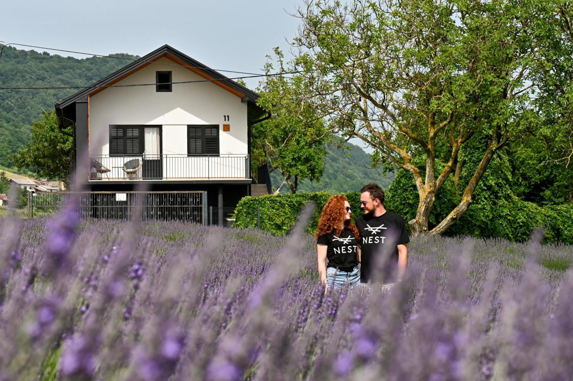 Vacation Home - Nest Kalnik Ngoại thất bức ảnh